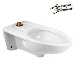 1.0 - 1.6 GPF WALL HUNG ELONG WHITE CLOSET