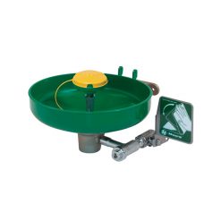 HAWS 7260B WALL MT EYE/FACE WASH W/ABS RECEPTOR
