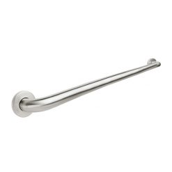 CHG 01990 42" SANIGUARD GRAB BAR W/CONC FLANGE