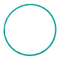 ARMSTRONG 426401-005 PUMP CASING / BODY GASKET - NITRILE